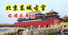 啊～好长好大放进小穴视频中国北京-东城古宫旅游风景区
